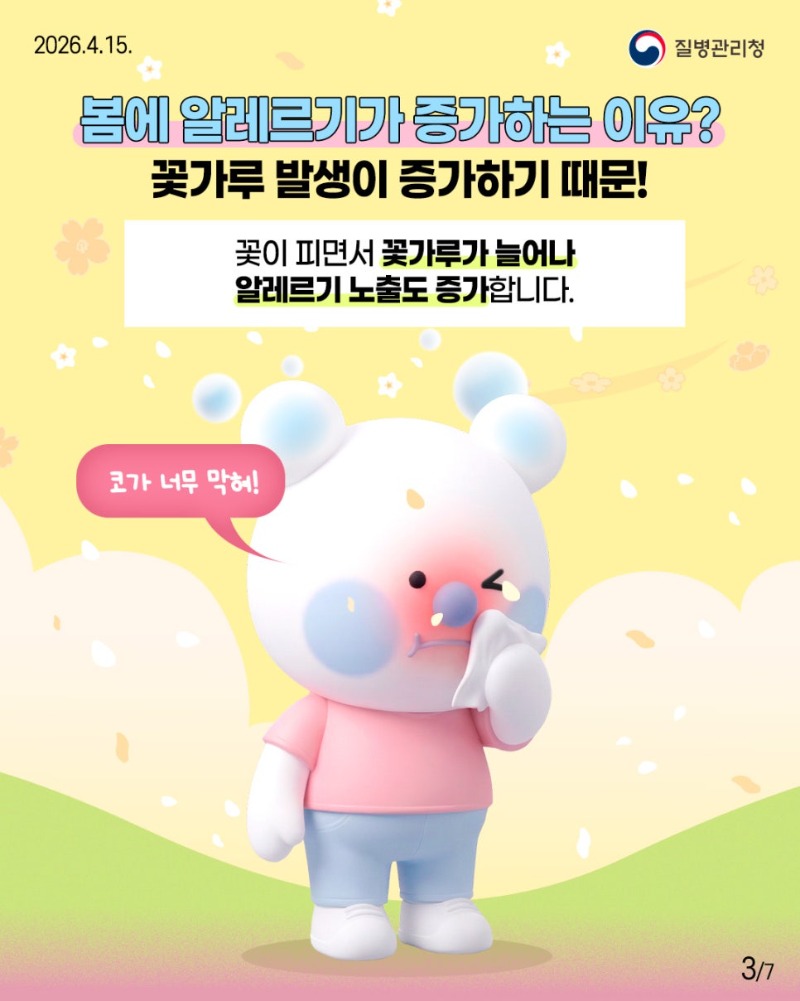 260415-뽀득이-카드뉴스(꽃가루-알레르기)3.jpg